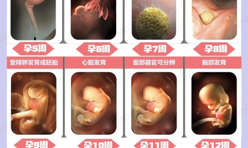 北京御本堂 消癌平胶囊怎么样网 - 网站提供北京御本堂药业集团小常识、北京御本堂药业集团